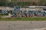 DSC_0301 (2)